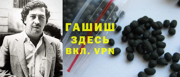 прущие грибы Абаза