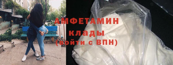 прущие грибы Абаза