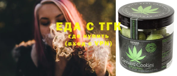 индика Ростов