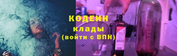 прущие грибы Абаза
