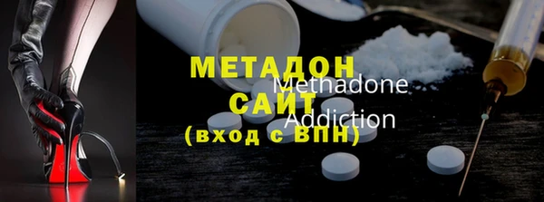 прущие грибы Абаза