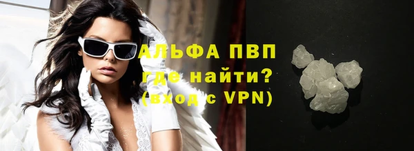 прущие грибы Абаза