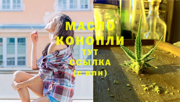 прущие грибы Абаза