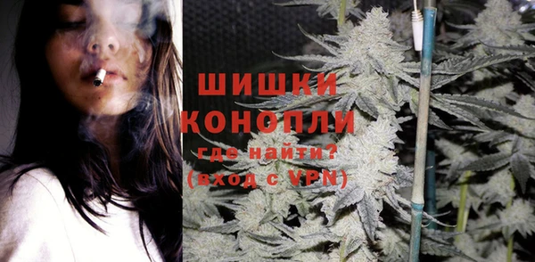 прущие грибы Абаза