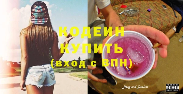 прущие грибы Абаза